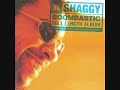 BOMBASTIC BY - SHAGGY