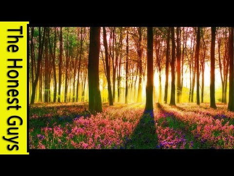 how to meditate visualisation