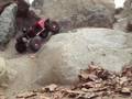 SoCal RC Rock Crawlers - Toyota Scalers @ Columbia Park