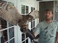 Dave and a Great-horned owl Dave and a Great-horned owl