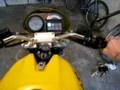 Ducati 600 monster