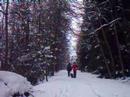 A Winter's day in Galashiels