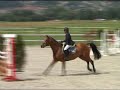 11 | BENVINDA | Pferde Auktion Neuendorf 2008 11 | BENVINDA | Pferde Auktion Neuendorf 2008
