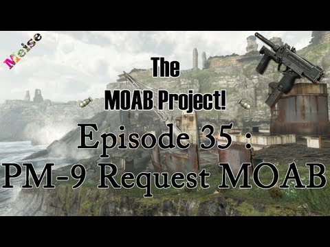 MeiseTV - Thanks to - http://www.youtube.com/user/ColossalCrib for the submission! So I have decided to open up this series for you guys to dictate what guns you would...