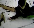 APBT sled-pull-3