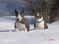 My best friends Tia & Kubi
