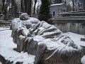 PANIE - MICHAŁ BAJOR