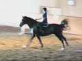 Sofia  M�nljus - Jacob-tr�ning 24/6 08