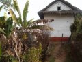 Jhamke guleli