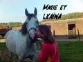 les chevaux du long tour