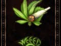 Jah Mason - Ganja For Life Jah Mason - Ganja For Life