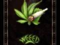 Jah Mason - Ganja For Life