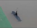 RC Submarine at Quezon City Hall Pond