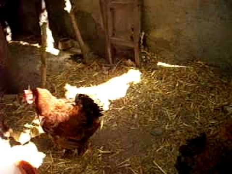 La Huerta del Cura