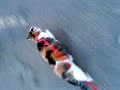 smudge going for a walk =D