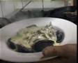 Maridaje - Alta cocina gourmet