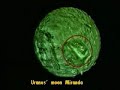 The planet Nibiru