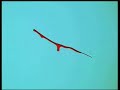 amv of yuyu hakusho 
music by the union underground, 
