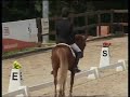CAVA NEFYDD BEAUDGESTE PONI WELSH ENTERO ALAZAN DE 5 A�OS