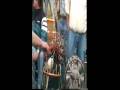 videos de 18 cylindres 180 cc