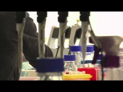 reprogrammed stem cells - This 16 minute video tells the story of one of this century's most extraordinary scientific discoveries - induced pluripotent stem cells, or iPS cells. Medic...
