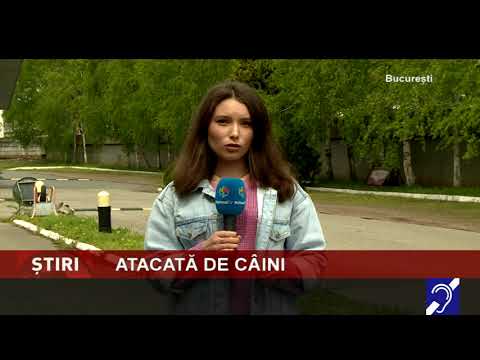 Atacată de câini