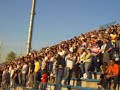 Treviso-Napoli 1/4