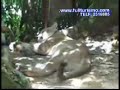 Full Turismo - Villa Tunari - Bolivia Full Turismo - Villa Tunari - Bolivia