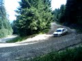 raliu tara barsei