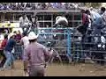 jaripeo en el itao jaripeo en el itao