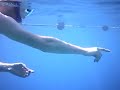 Snorkeling in the red sea