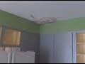 final little david video final little david video