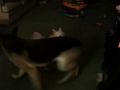 Chrissy and Wanda