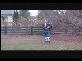 Pumpkins Fancy.wmv