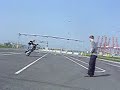 wheelyboy