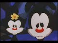 they've sung about the ingredients of a candy bar. they've sung about the bones of the human body. and now, yakko warner takes on what is perhaps the most intimidating educational subject for a song - math. can he do it? can he pull it off? can he multiply 47 x 83?!