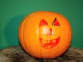 CB9 Media Hub - pumpkin animation - gemma