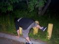 nobody special brantford punk