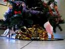mon beau sapin ! bis mon beau sapin ! bis