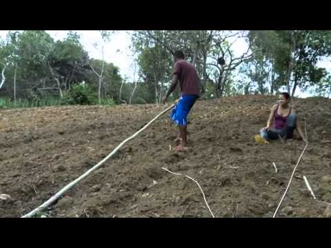 Vídeo: jovens agricultores, cidadania e renda
