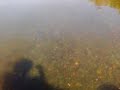 Deschutes river trip with Will through the 