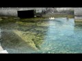 Rc Powers F1 Hyrdo Plane @ Finikas, Syros