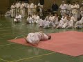Kenryu Aniversario