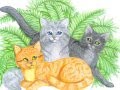 Lionpaw Hollypaw & Jaypaw- Break away