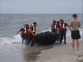 AmPhib 07