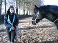 Boumty ::pas,trot,reculer,stop,saut...
