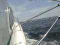 videos de Hundreds of dolphins jumping in a line (Dolphin stampede)