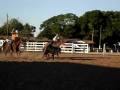 videos de Team Roping - Bengala e Sandro