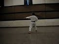 Shuto Kata- Shoto Ryu