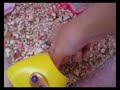 Nanolove's OCD problem